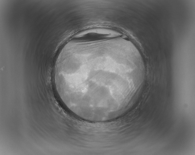 X0000055250010200509071627.png