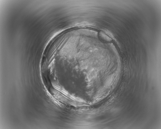 X0000054351032200508190123.png