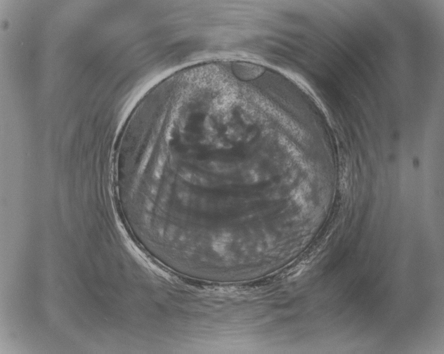 X0000054170903200508101756.png