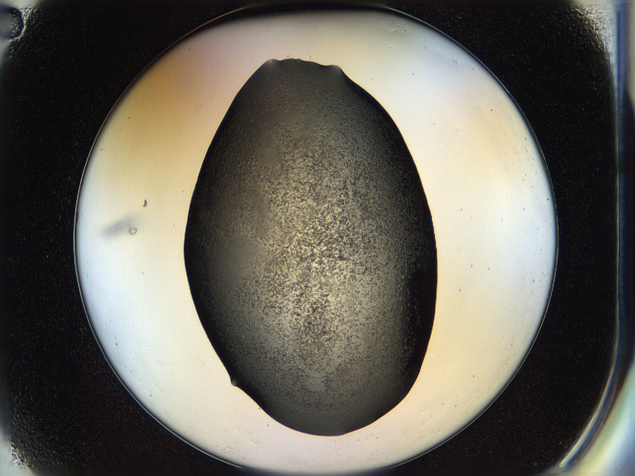 05hl_A2_ImagerDefaults_6.jpg