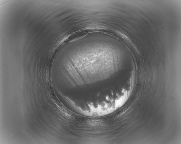 X0000054350833200508190126.png