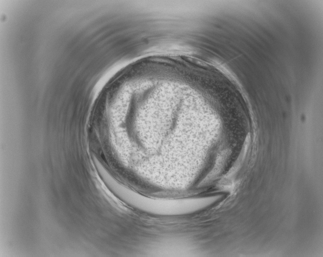 X0000055071344200508232319.png