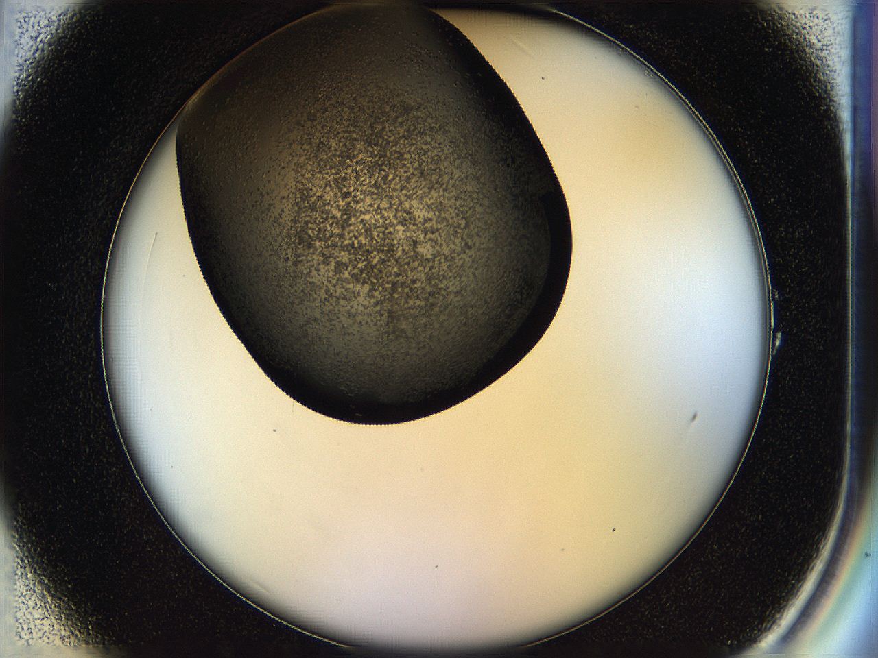 05hl_A1_ImagerDefaults_6.jpg