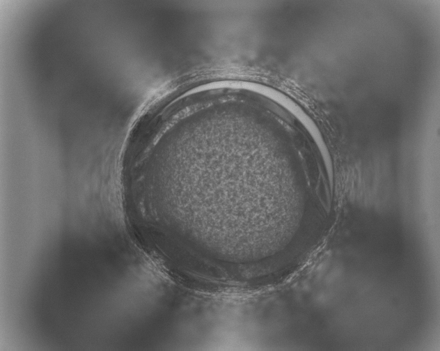 X0000048420198200504061102.png