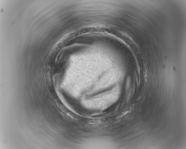 X0000055070968200508232325.png
