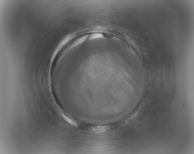 X0000054350102200508190138.png