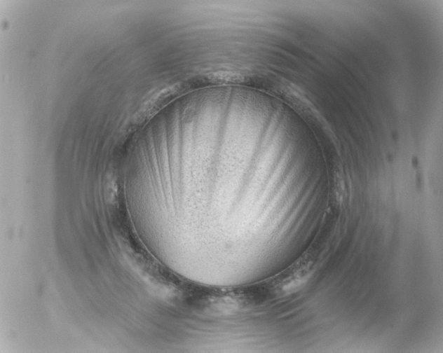 X0000055070259200508232336.png
