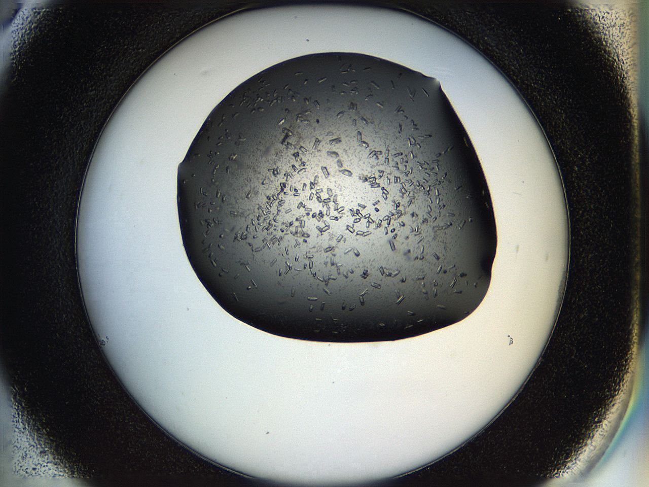 05hl_C6_ImagerDefaults_7.jpg