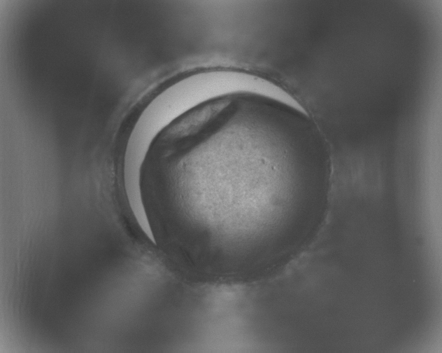 X0000054110247200508022106.png