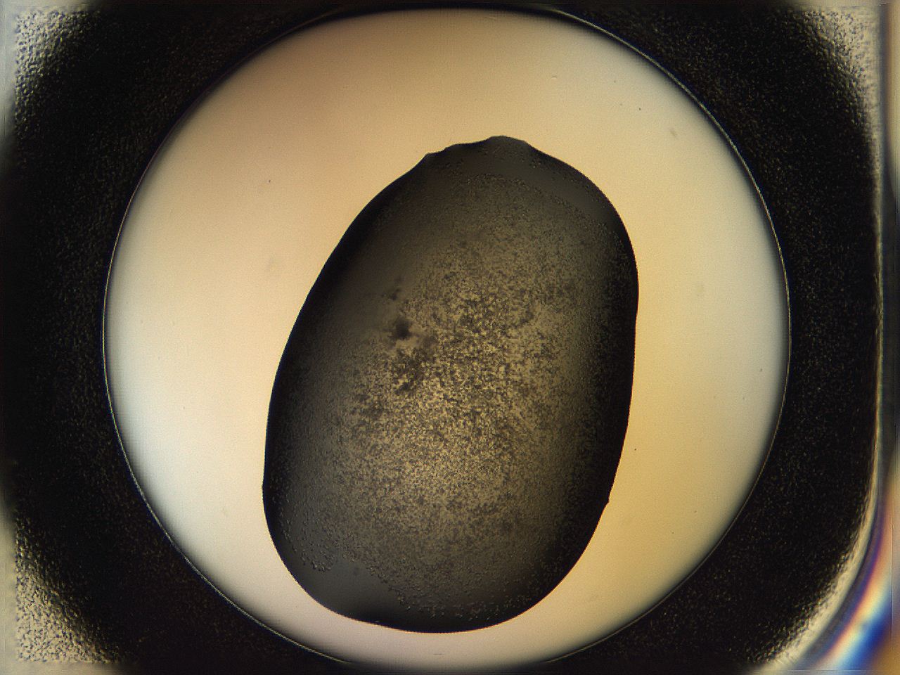 05hl_D1_ImagerDefaults_6.jpg