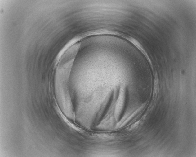 X0000055071197200508232321.png