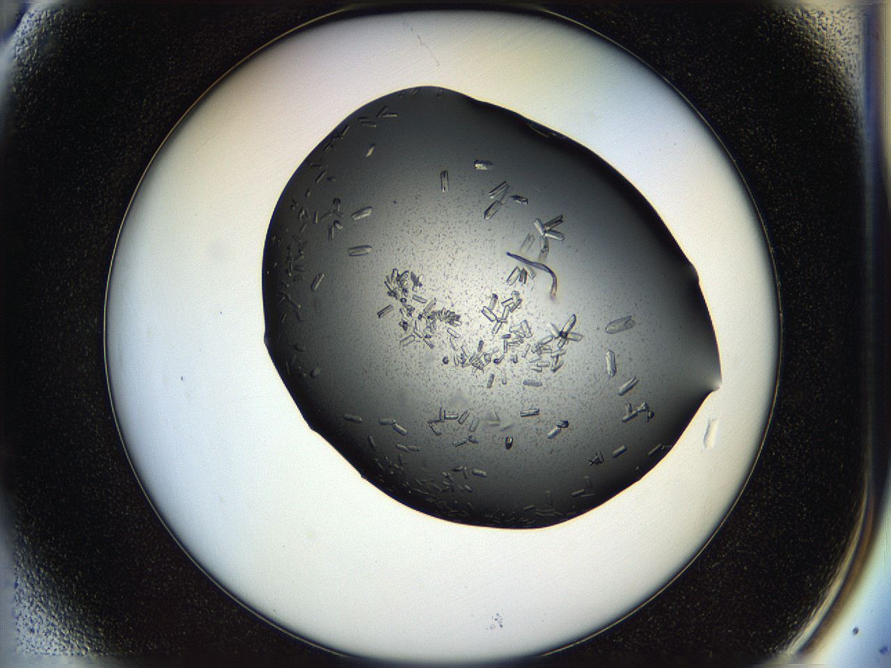 05hl_A6_ImagerDefaults_9.jpg