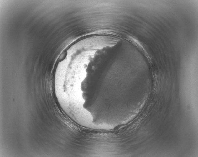 X0000054351284200508190118.png