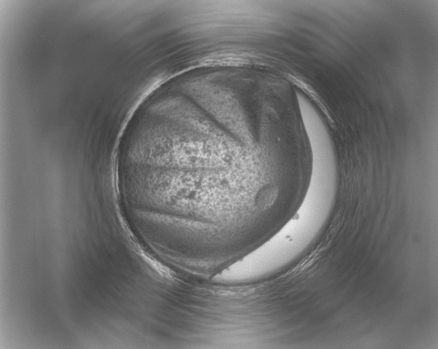 X0000054301083200508042304.png