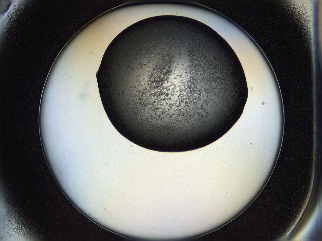 05hl_A3_ImagerDefaults_6.jpg