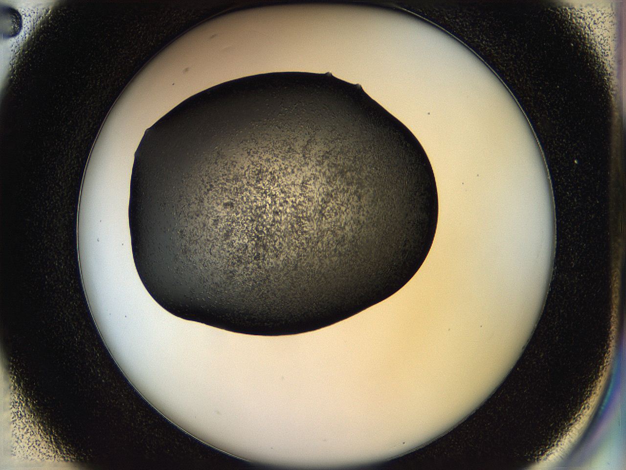 05hl_D2_ImagerDefaults_6.jpg