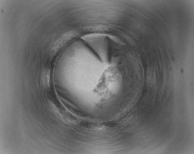 X0000054650206200508091650.png