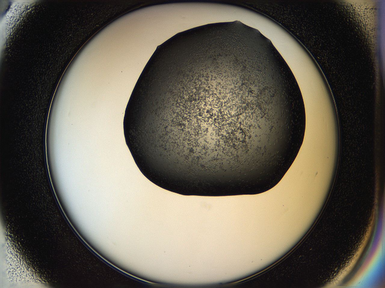 05hl_D3_ImagerDefaults_6.jpg