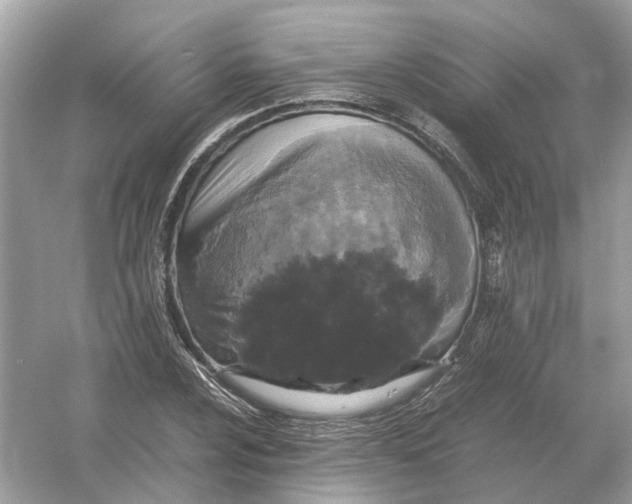 X0000054351024200508190123.png