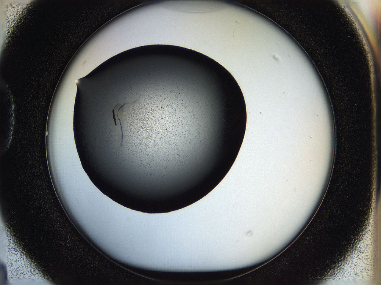 05hl_D4_ImagerDefaults_9.jpg