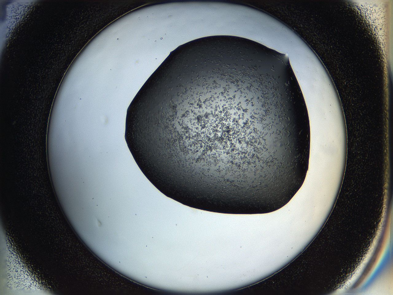 05hl_D4_ImagerDefaults_6.jpg