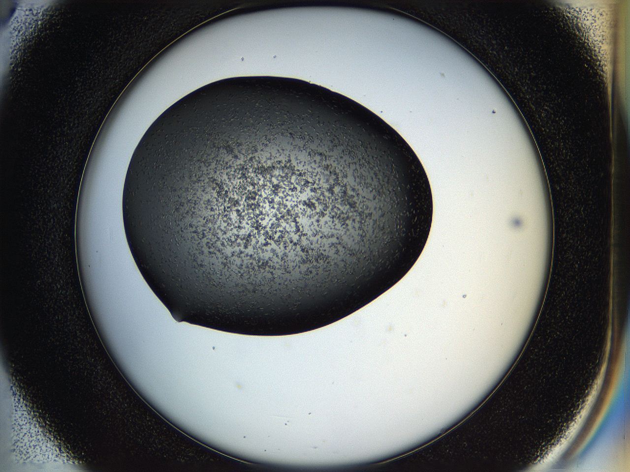 05hl_D5_ImagerDefaults_6.jpg