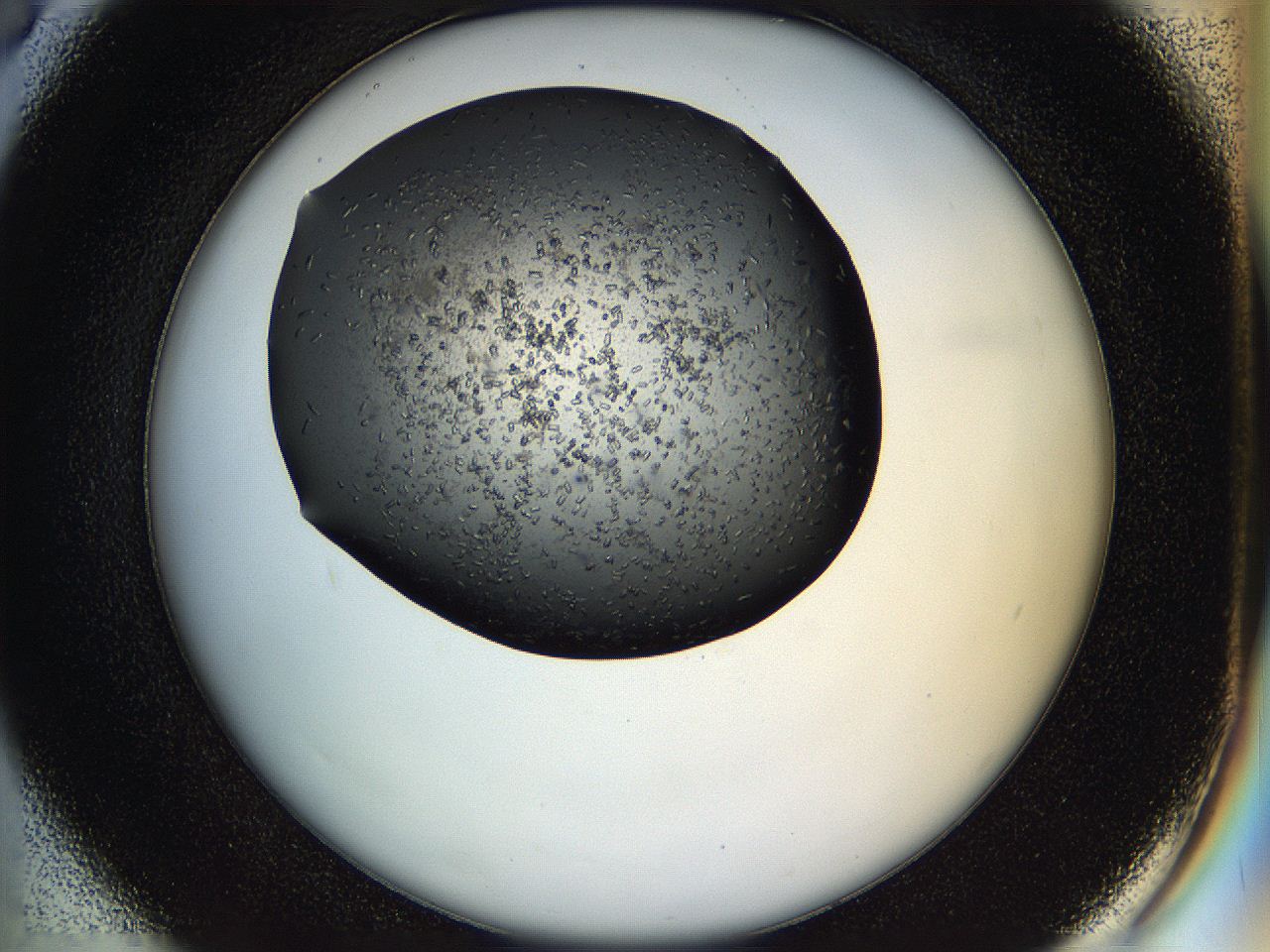 05hl_D6_ImagerDefaults_6.jpg