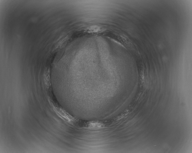 X0000055210376200508301328.png
