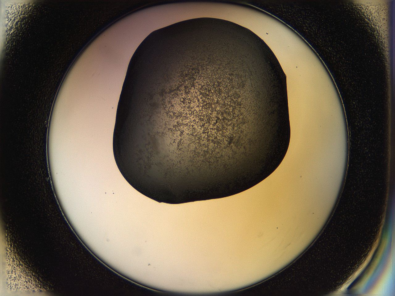 05hl_E1_ImagerDefaults_6.jpg
