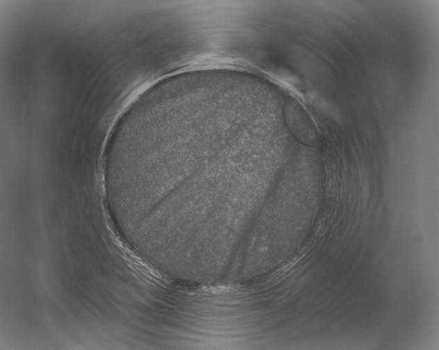 X0000055211415200508301310.png