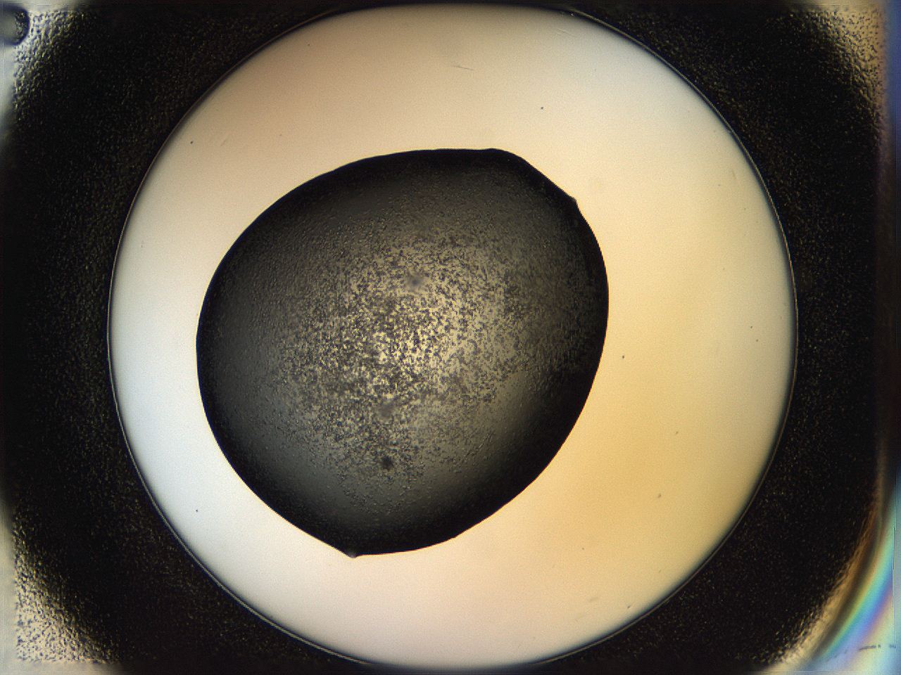 05hl_E2_ImagerDefaults_6.jpg