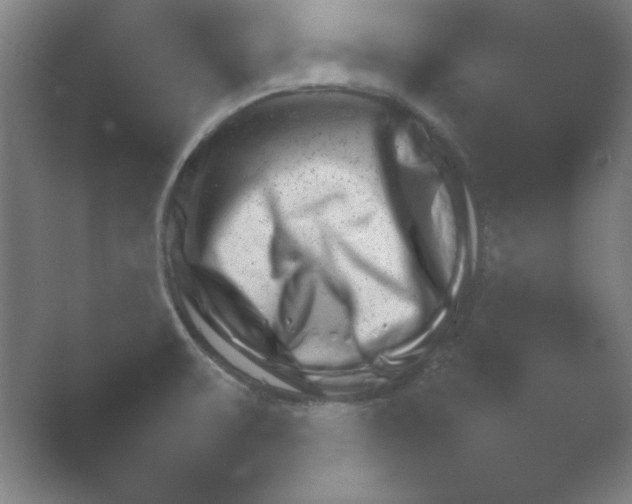 X0000054971475200509051451.png
