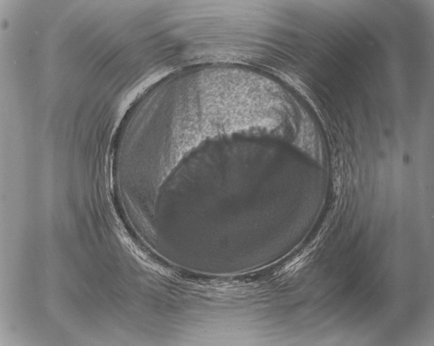 X0000054170987200508101755.png