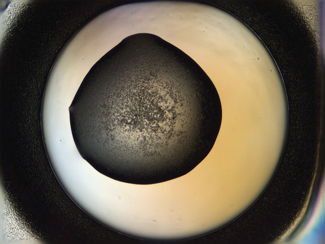 05hl_E3_ImagerDefaults_6.jpg