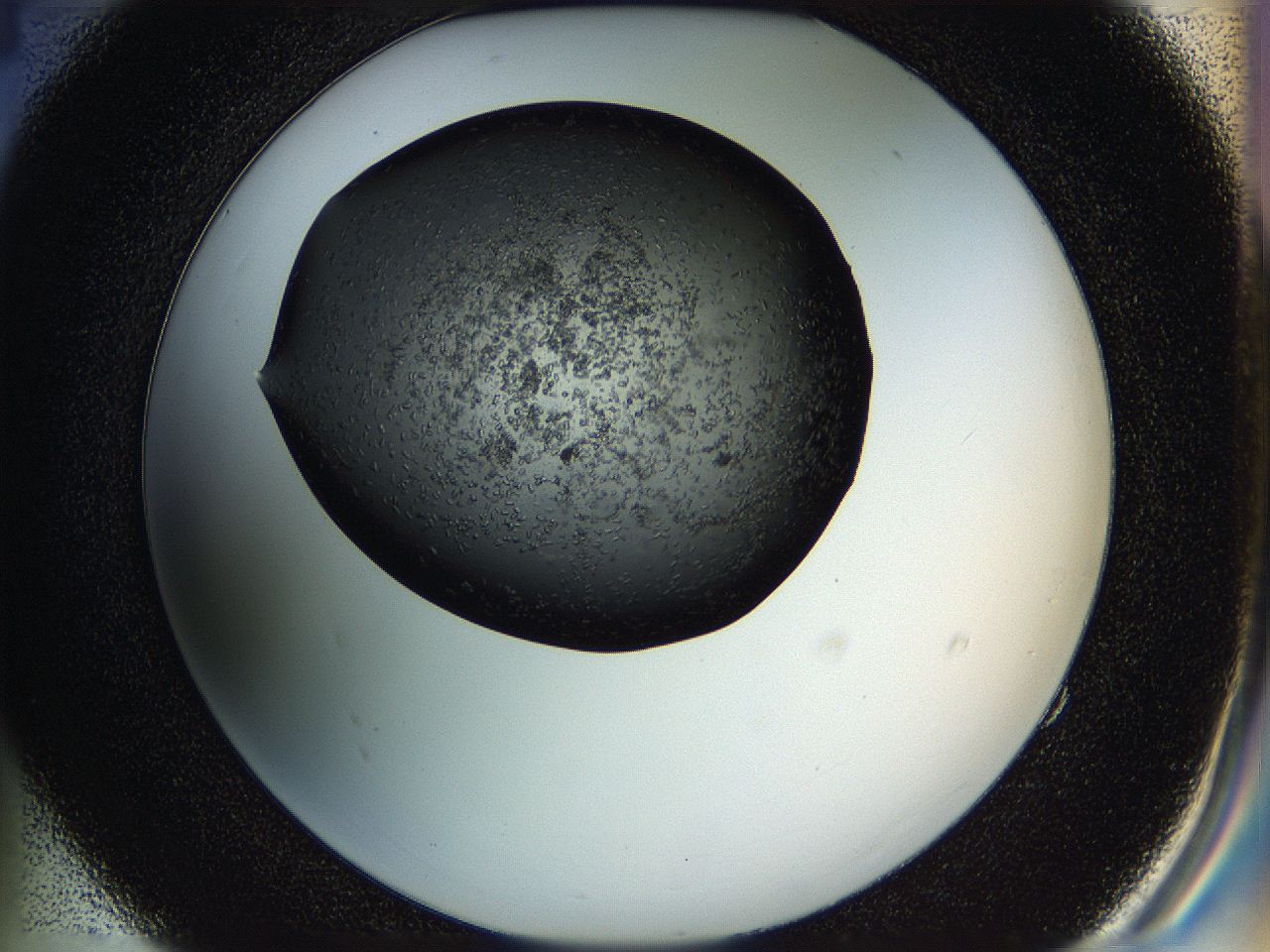 05hl_E4_ImagerDefaults_6.jpg