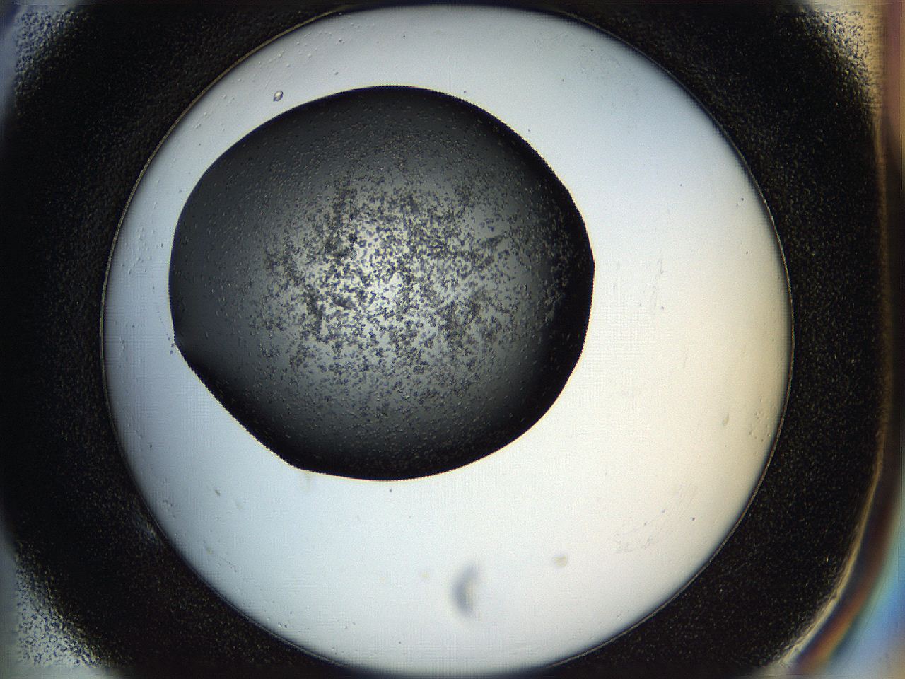 05hl_E5_ImagerDefaults_6.jpg