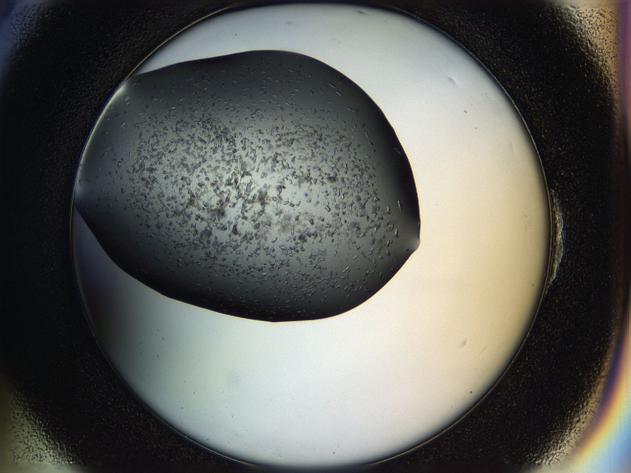05hl_E6_ImagerDefaults_6.jpg