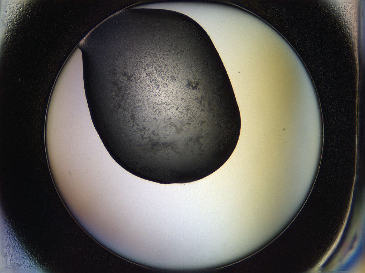 05hl_F1_ImagerDefaults_6.jpg