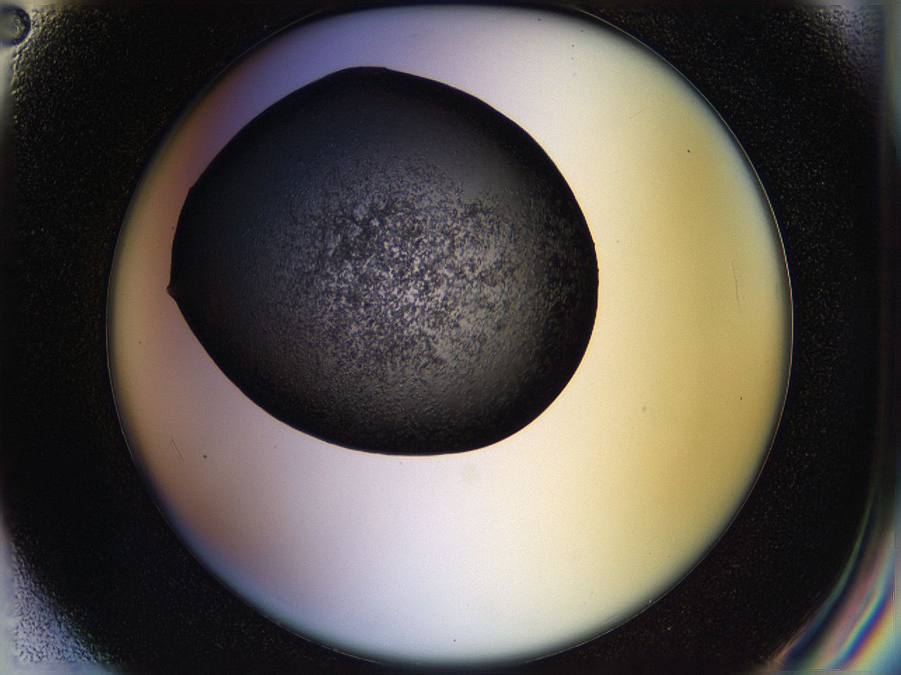 05hl_F2_ImagerDefaults_6.jpg