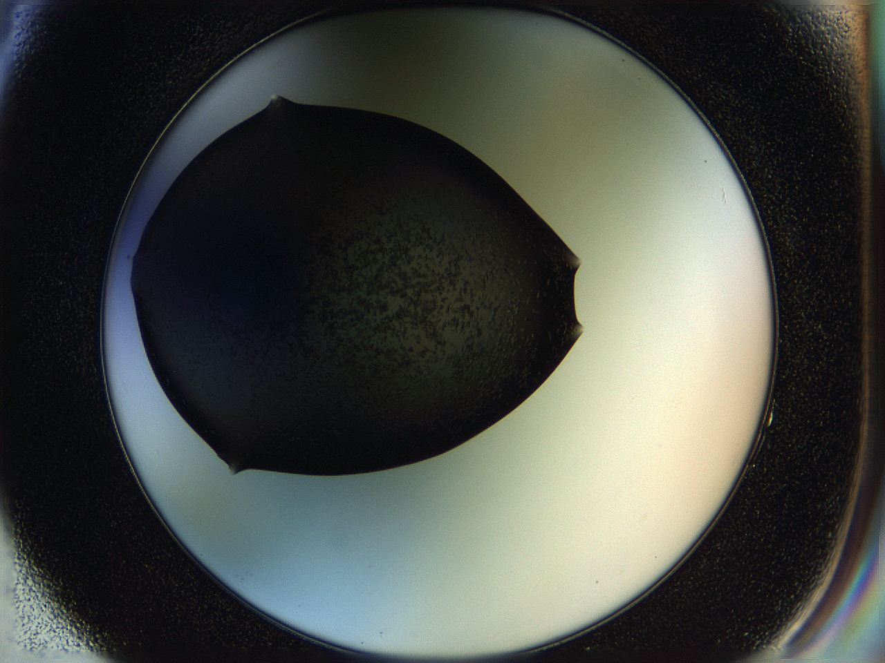 05hl_F4_ImagerDefaults_6.jpg