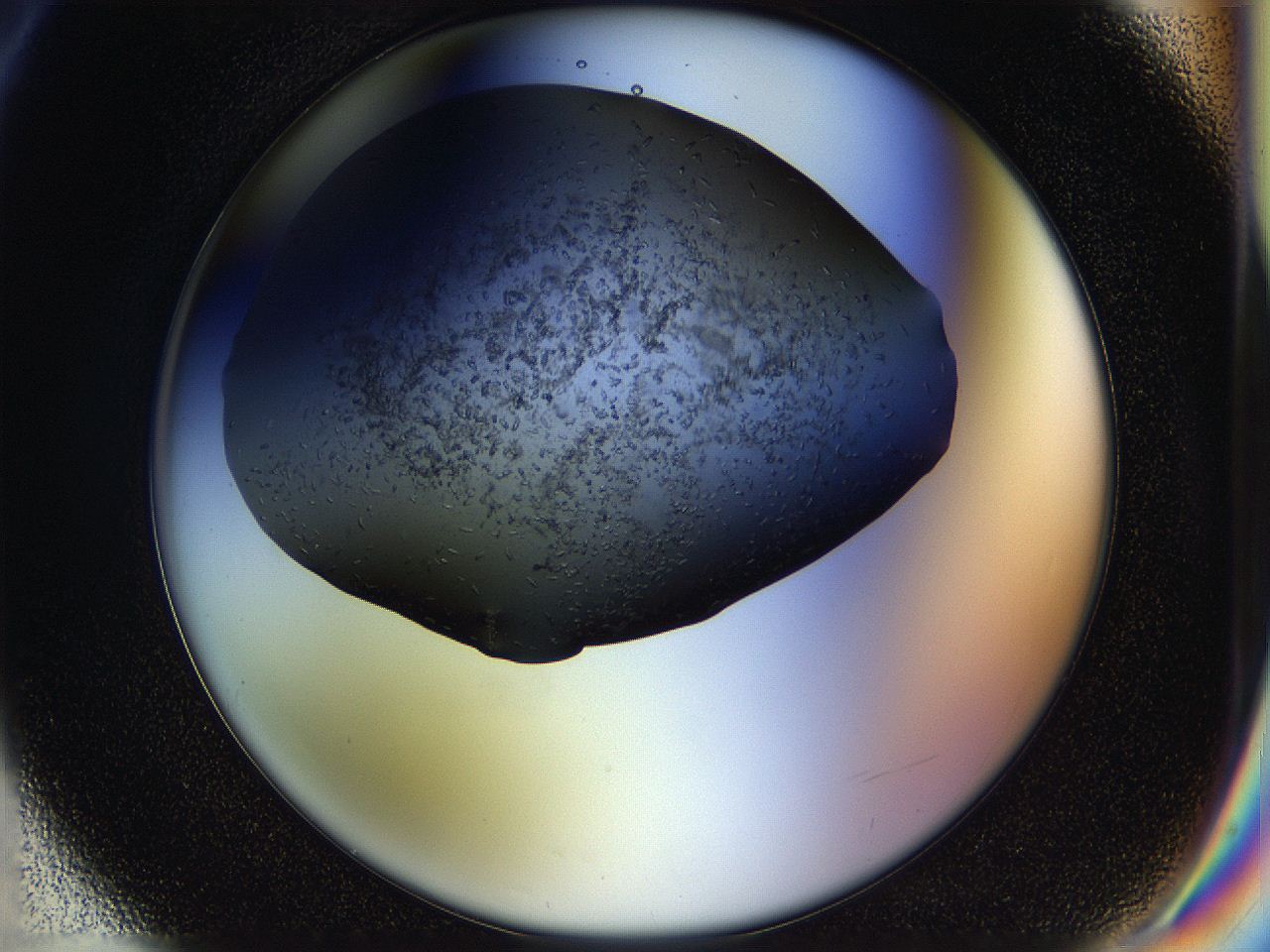 05hl_F6_ImagerDefaults_6.jpg