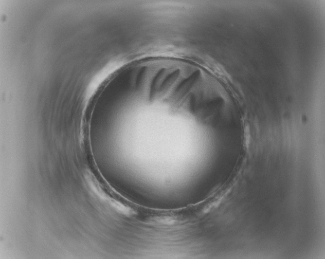 X0000055070344200508232334.png