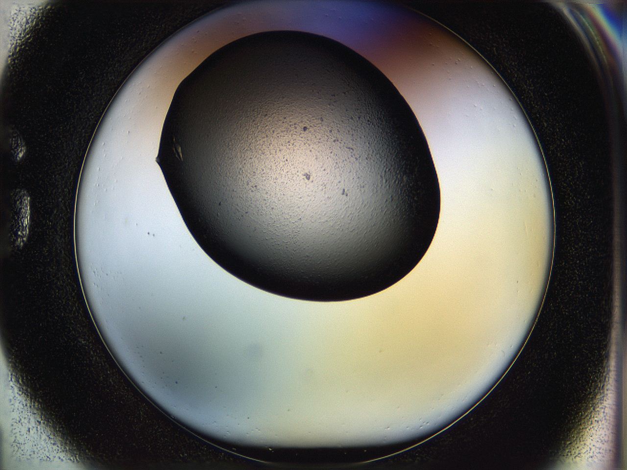 05hl_G1_ImagerDefaults_8.jpg