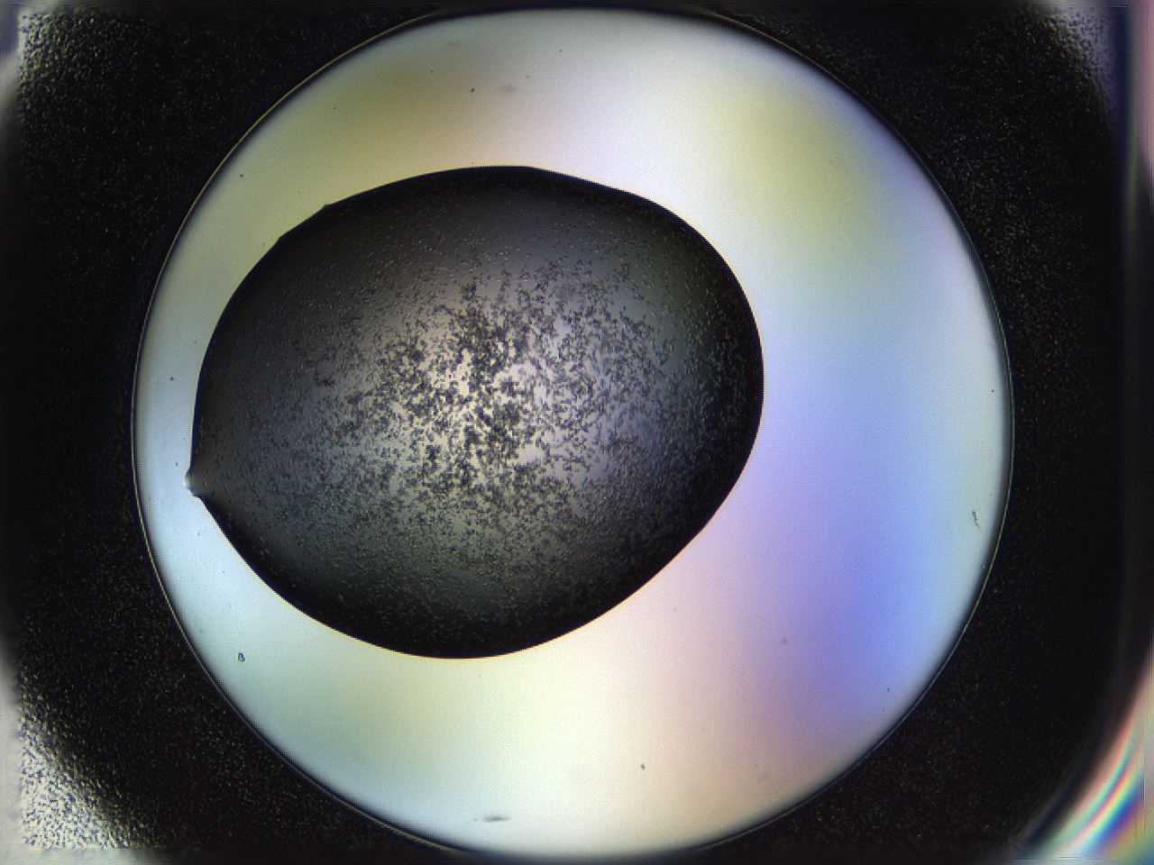 05hl_G4_ImagerDefaults_6.jpg
