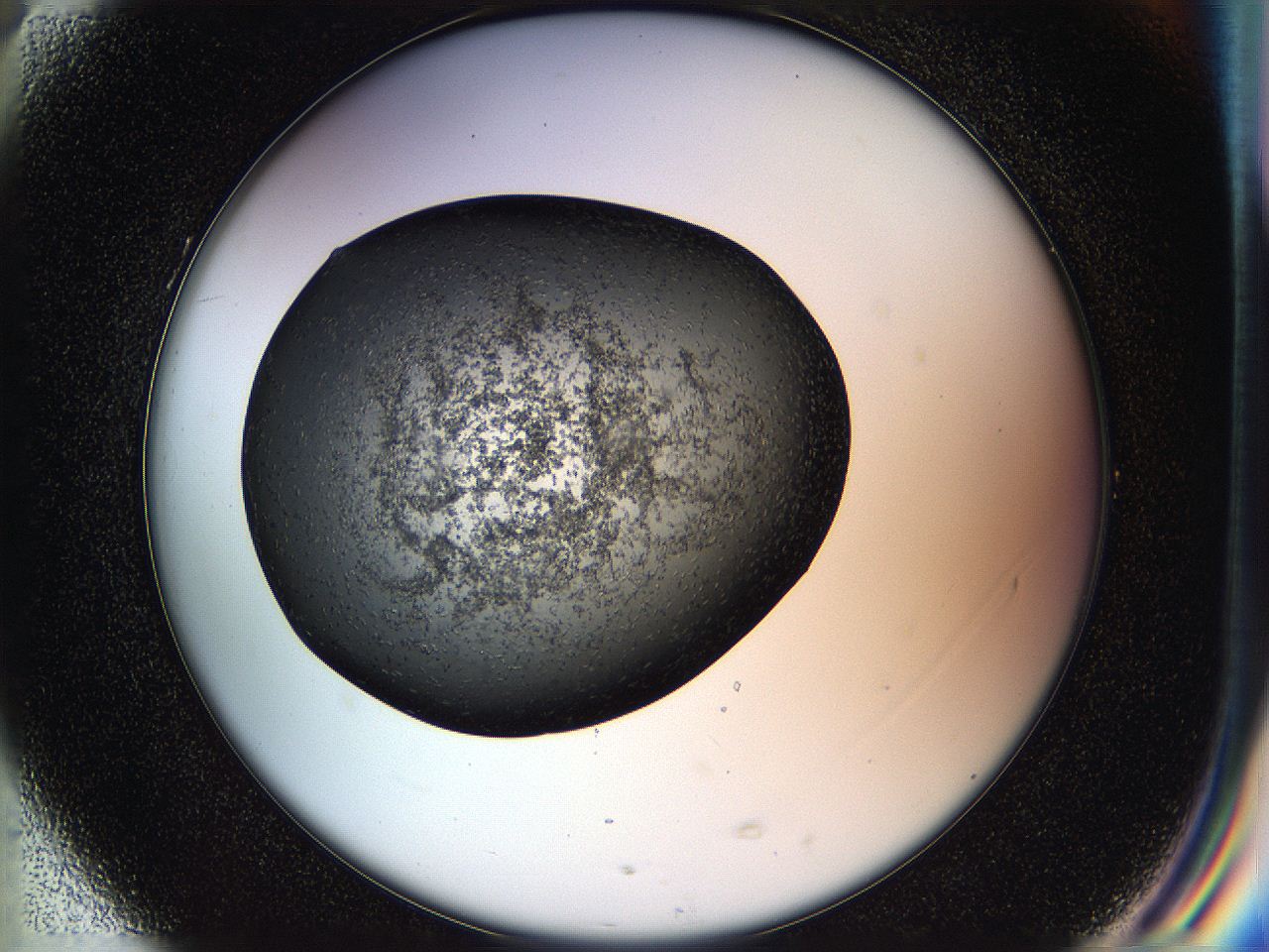 05hl_G5_ImagerDefaults_6.jpg