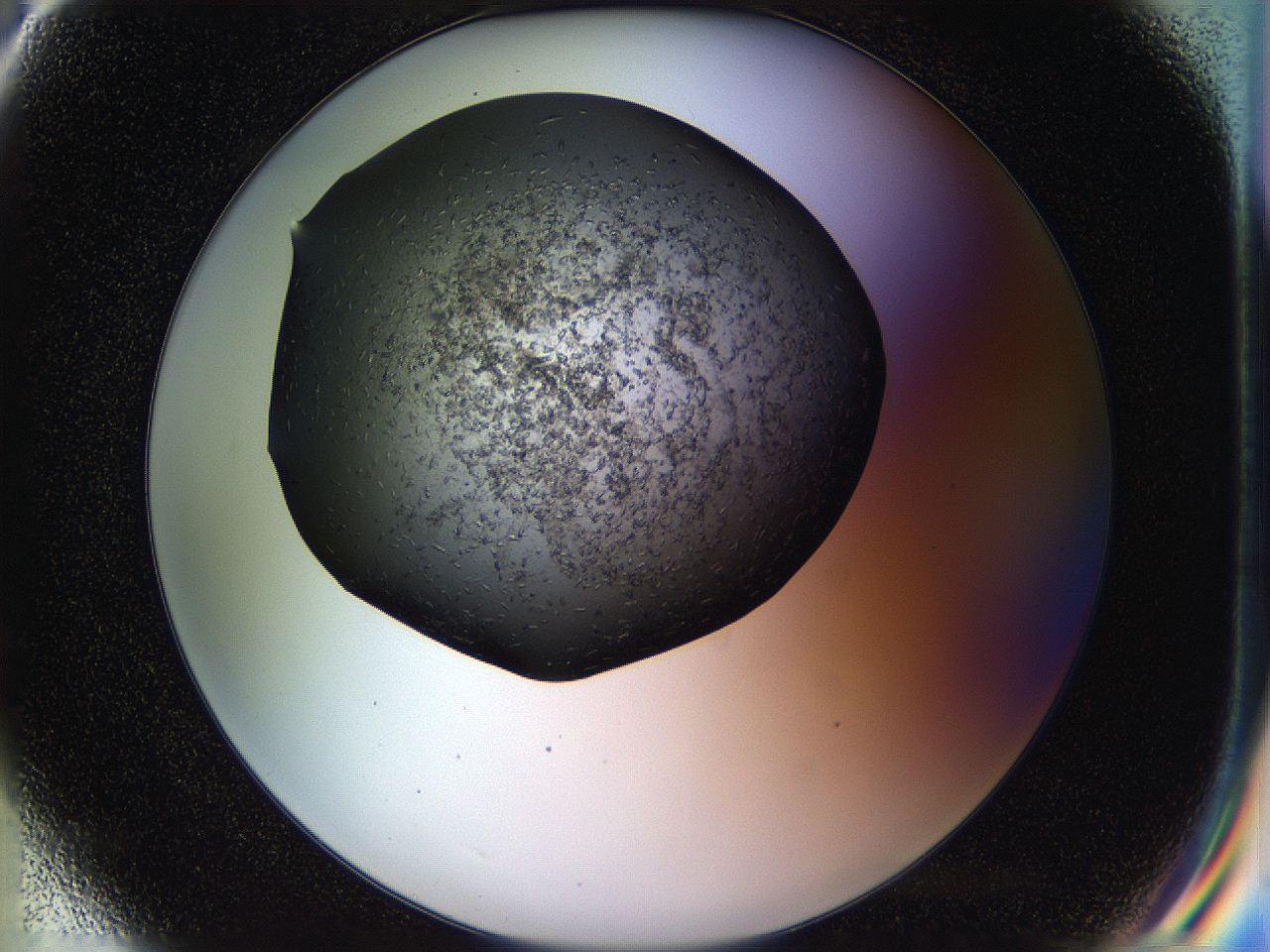 05hl_G6_ImagerDefaults_6.jpg