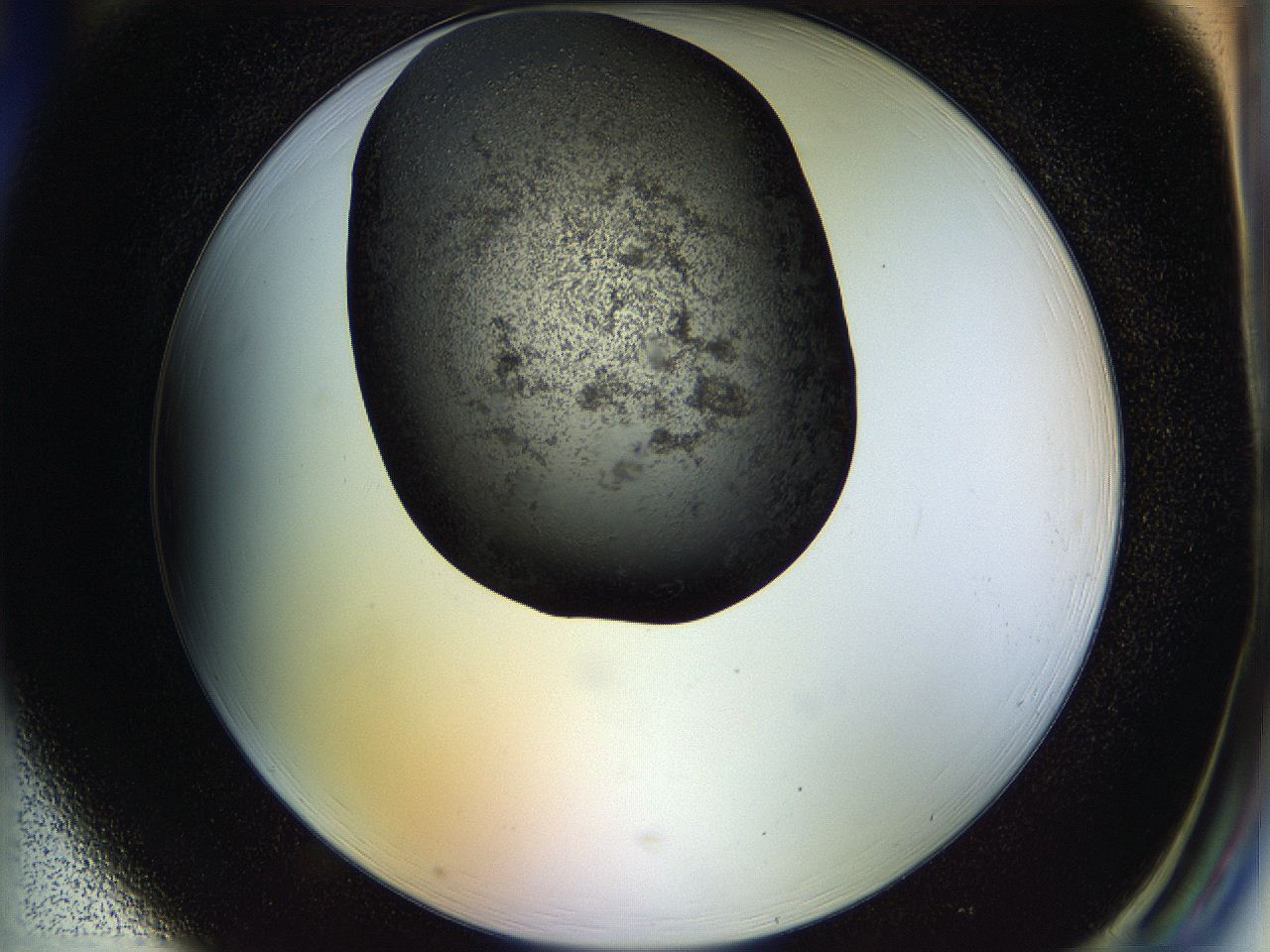 05hl_H1_ImagerDefaults_6.jpg