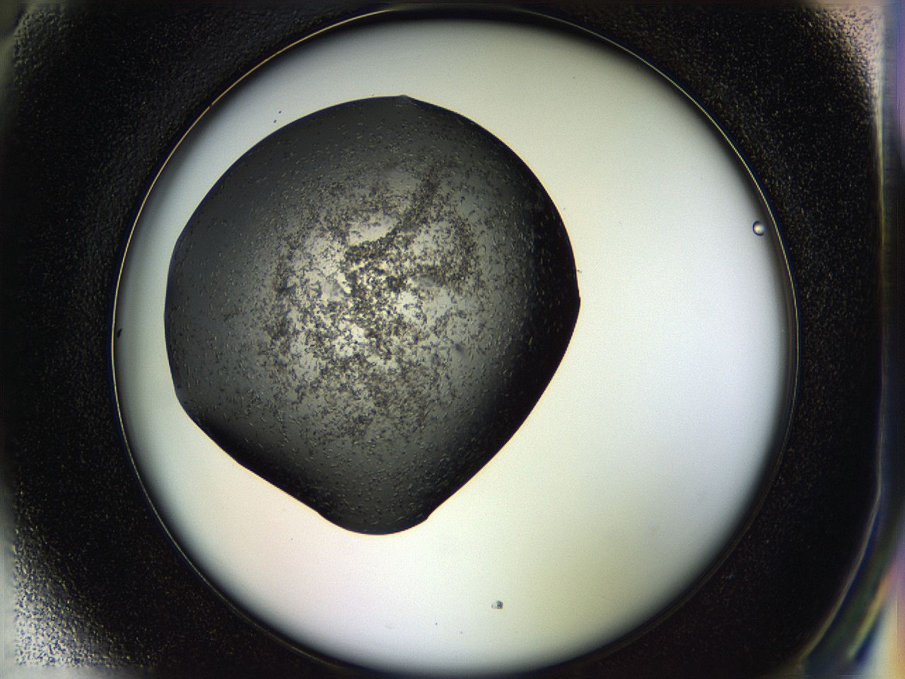 05hl_H5_ImagerDefaults_6.jpg