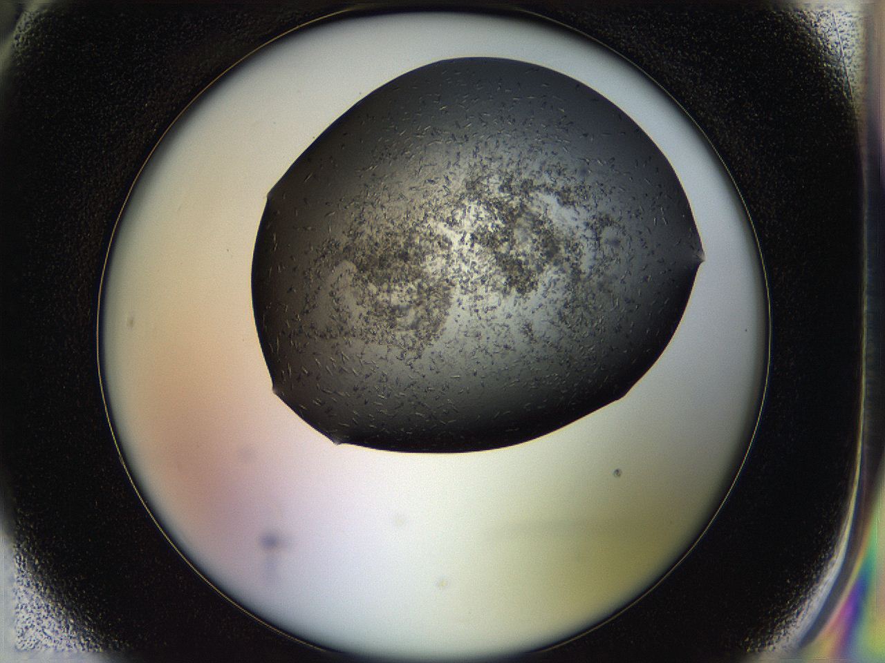 05hl_H6_ImagerDefaults_6.jpg