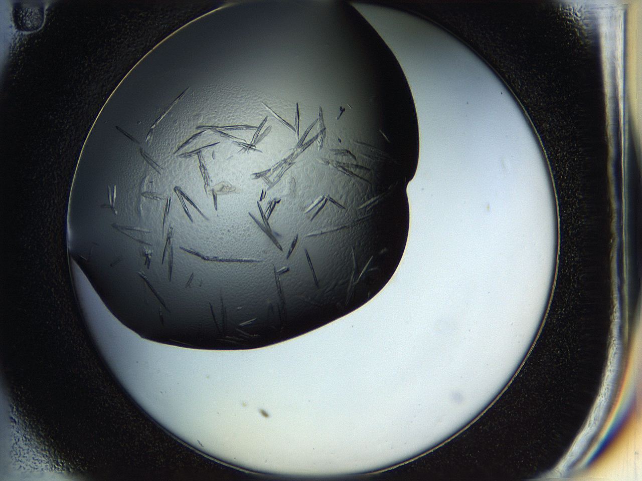 05hm_C11_ImagerDefaults_8.jpg